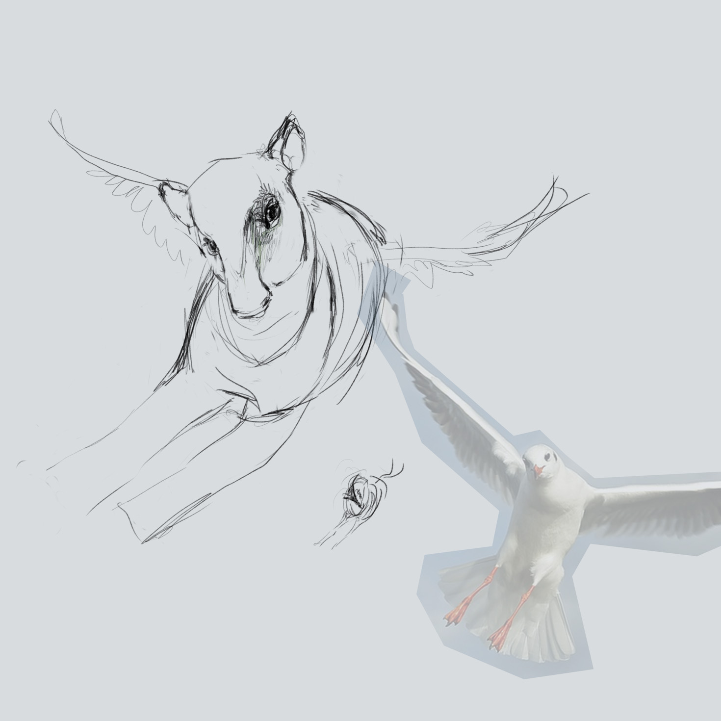 flight sketch