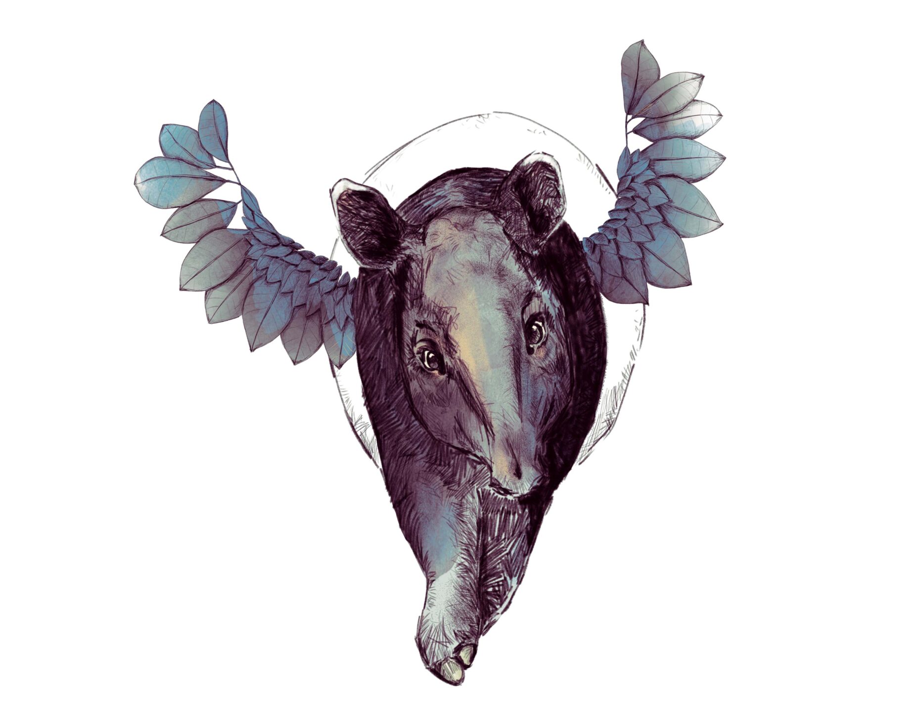 tapir