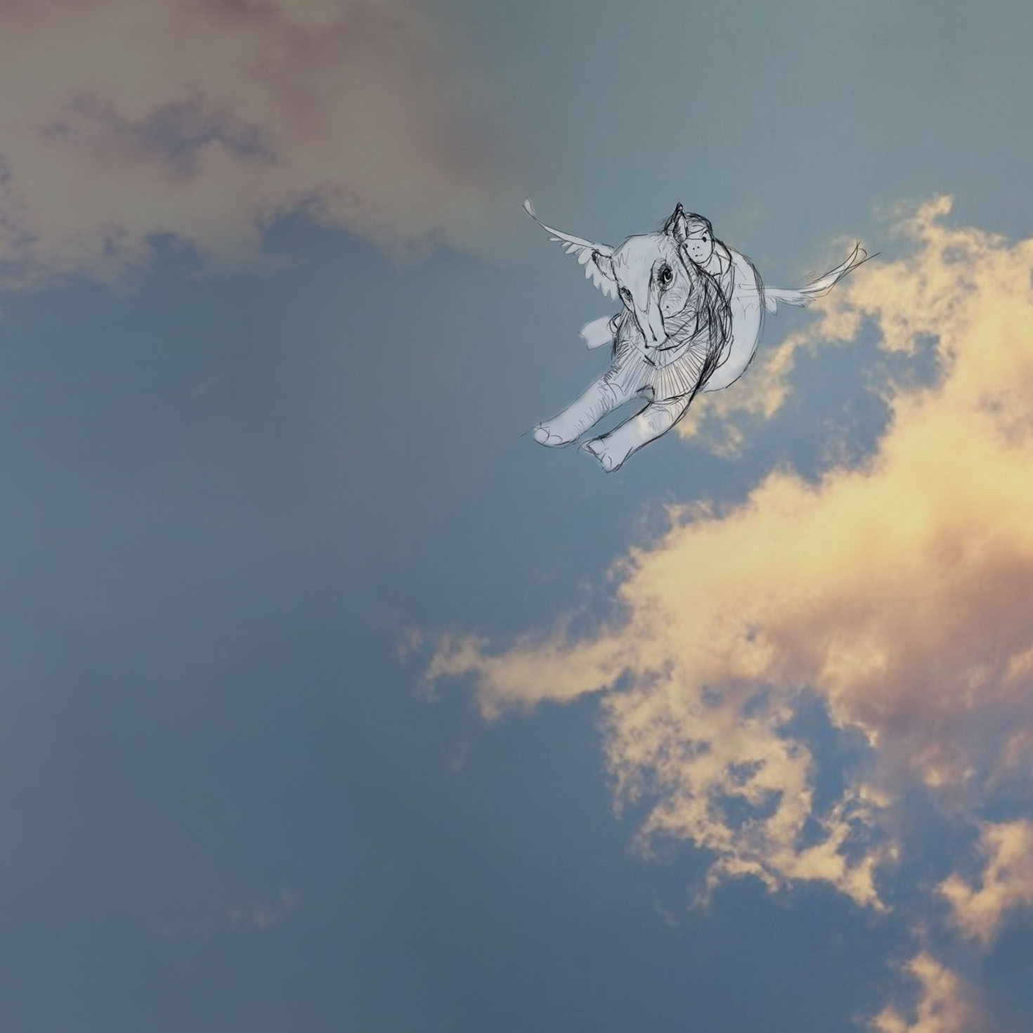 sky design