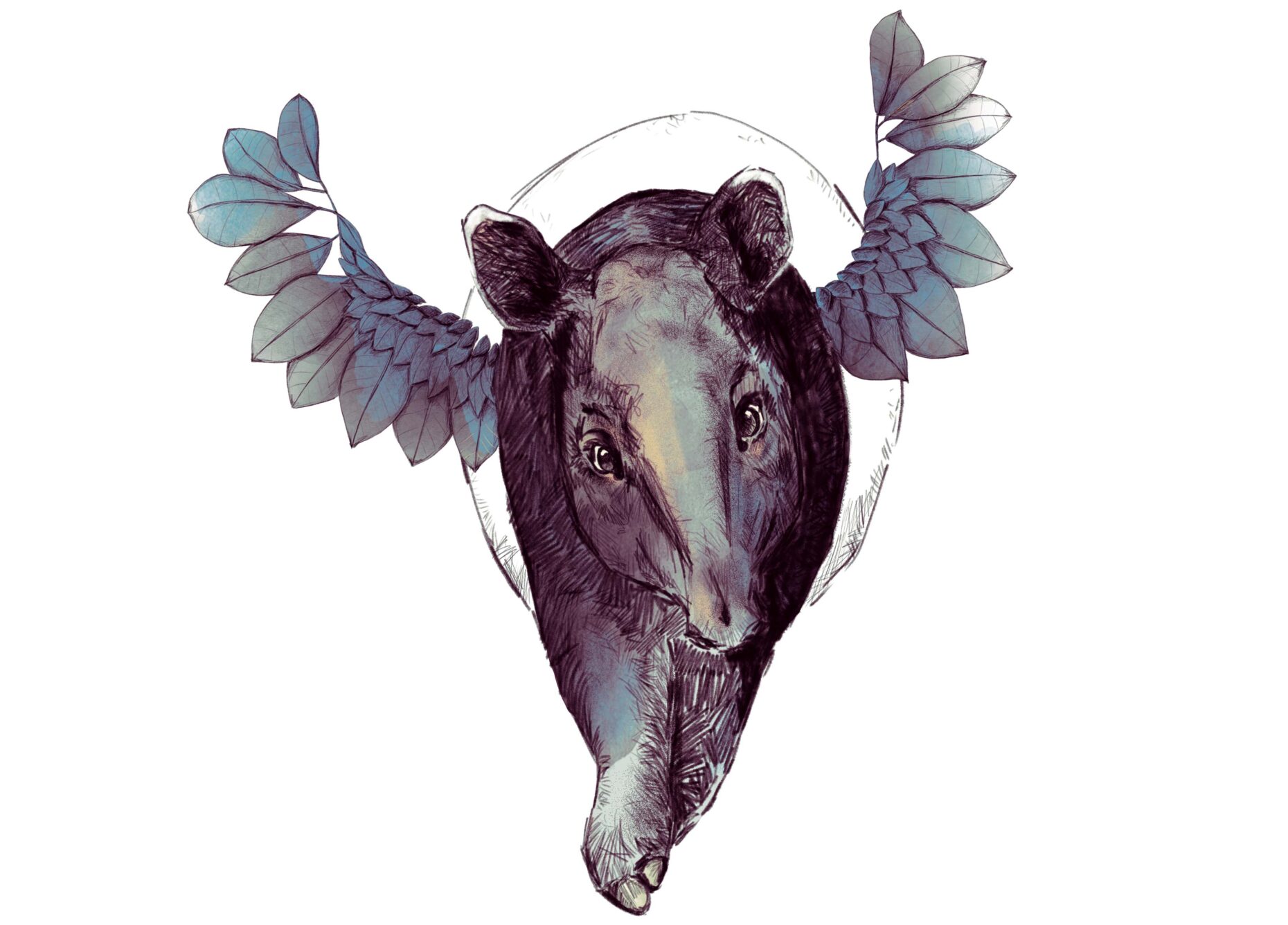 homepage tapir