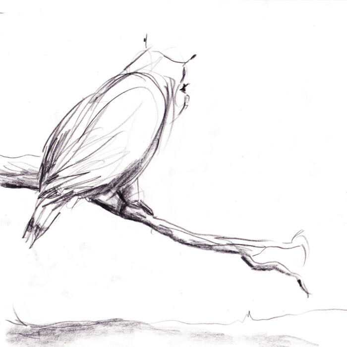 Milly on a branch