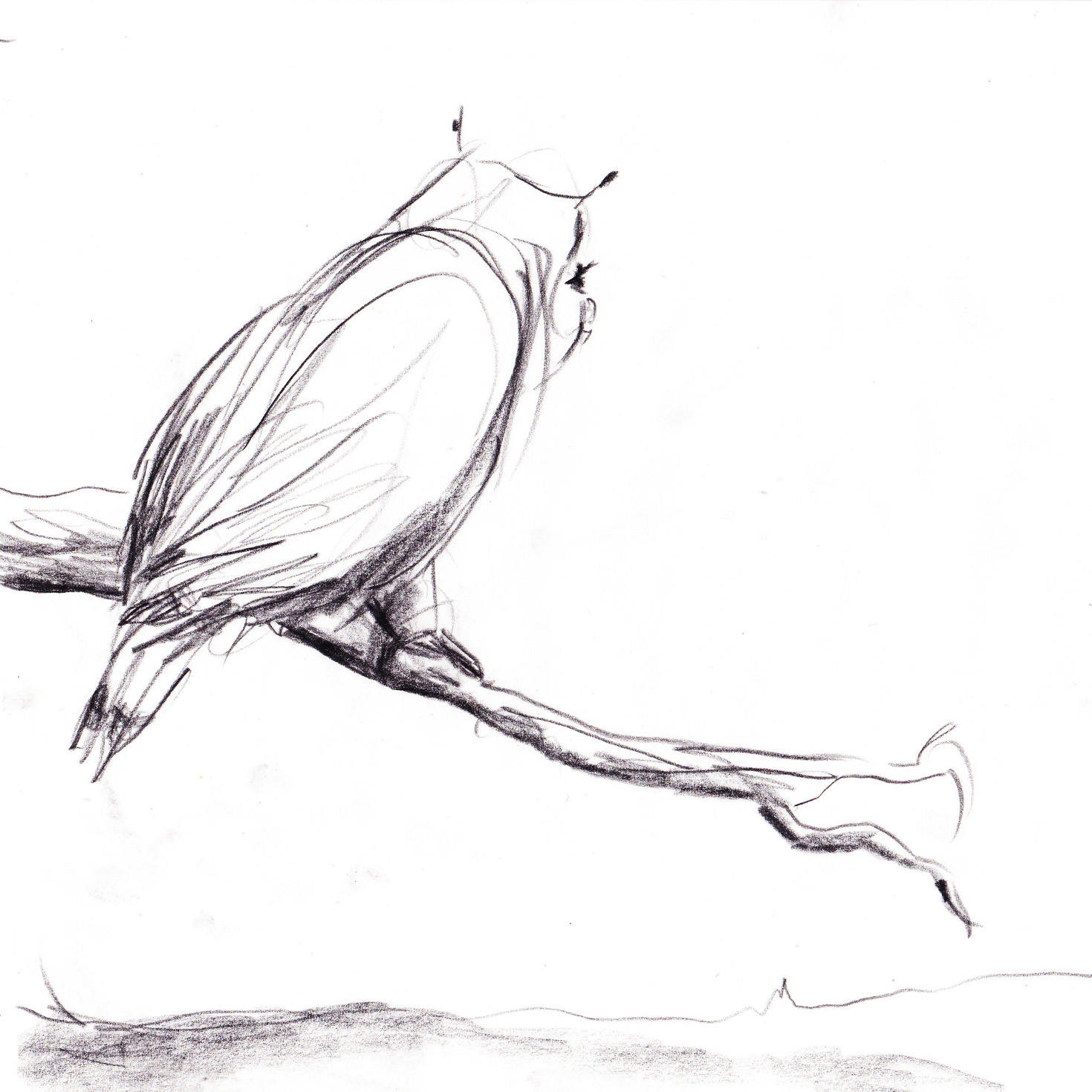 Milly on a branch